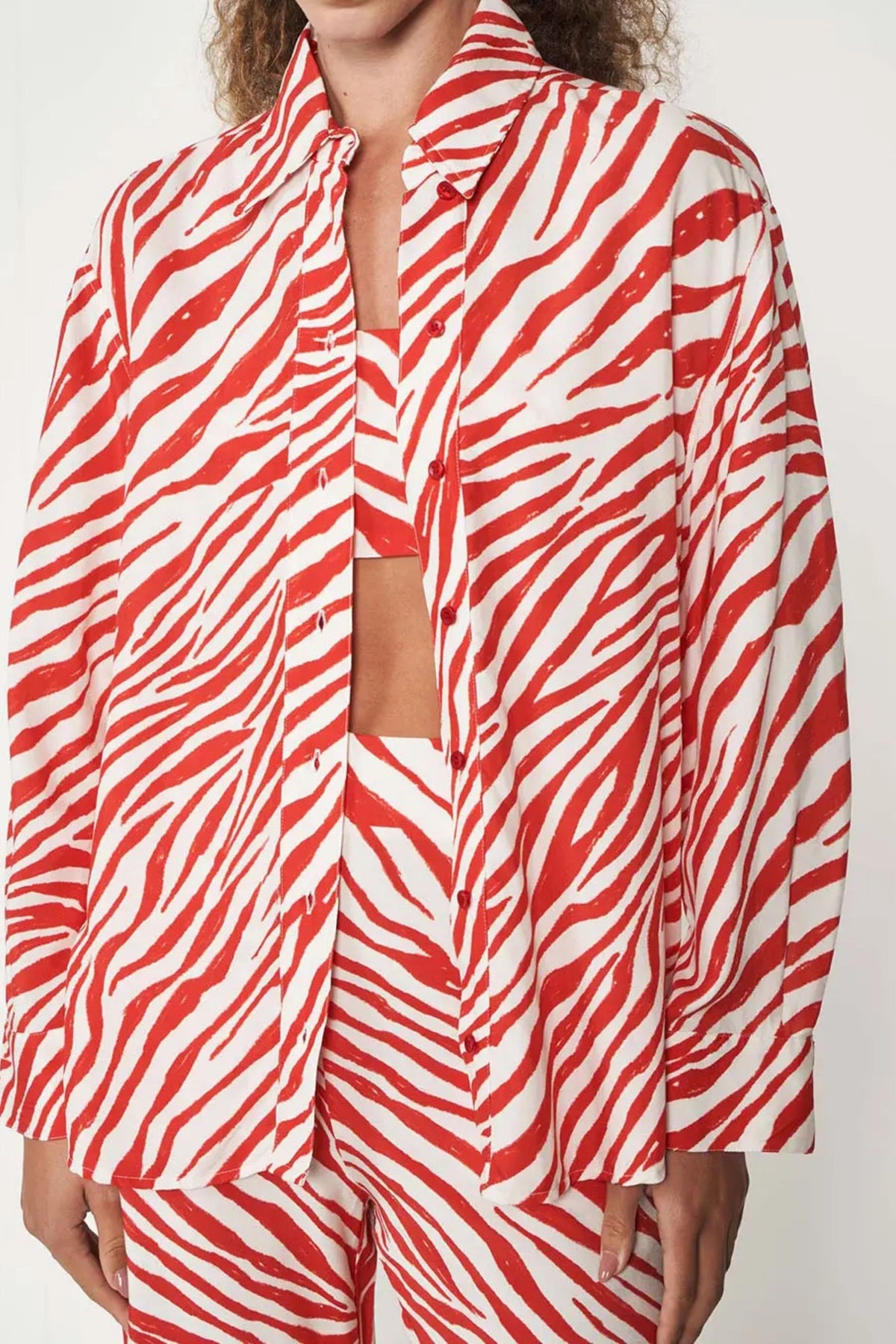 Camisa Zebra Vibes